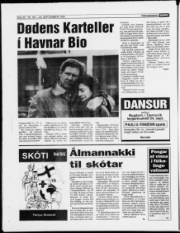 Síða 19