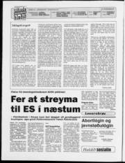 Síða 2