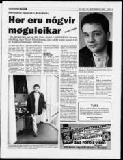 Síða 3