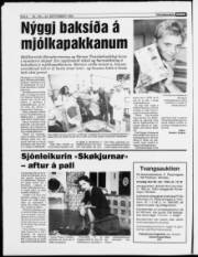 Síða 6