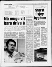Síða 7
