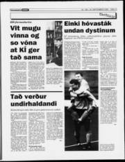 Síða 13