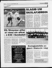 Síða 14