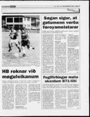 Síða 15