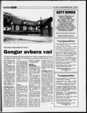 Síða 17