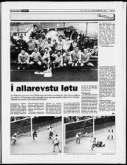 Síða 9