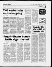 Síða 13