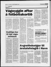 Síða 14