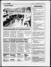 Síða 17