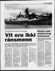 Síða 6