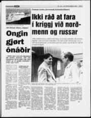 Síða 7