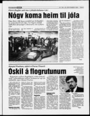 Síða 3