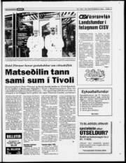 Síða 17