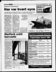 Síða 3