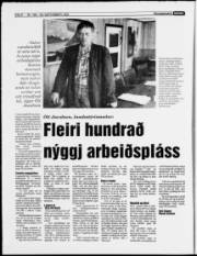 Síða 8