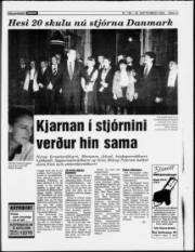 Síða 13