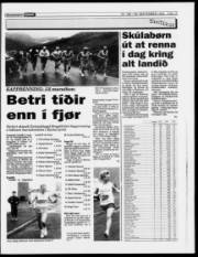 Síða 15