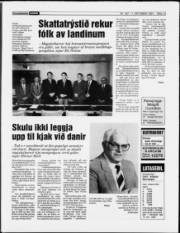 Síða 13