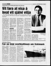 Síða 15