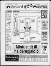 Síða 28