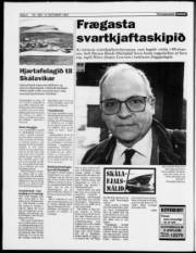 Síða 4
