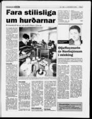 Síða 5