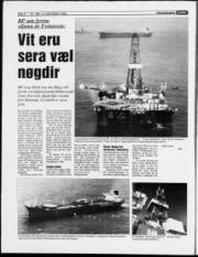 Síða 8
