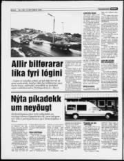 Síða 6