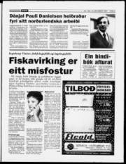 Síða 3