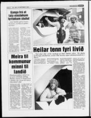Síða 8