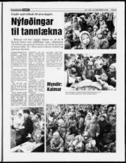 Síða 9