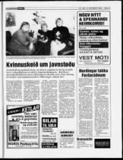 Síða 13