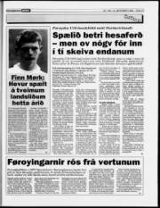 Síða 15