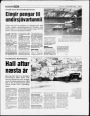 Síða 3