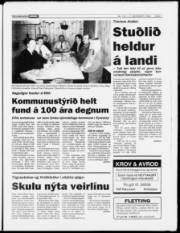 Síða 7