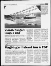 Síða 8