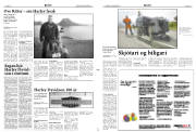 Síða 11