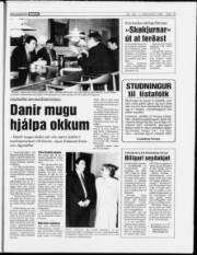 Síða 15