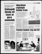 Síða 6