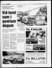 Síða 17