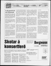 Síða 2