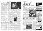 Síða 5
