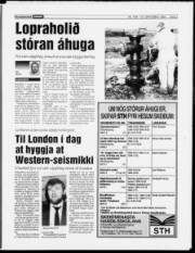Síða 7