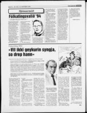 Síða 12