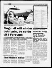 Síða 3