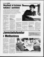 Síða 7