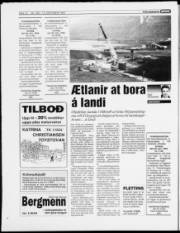 Síða 12