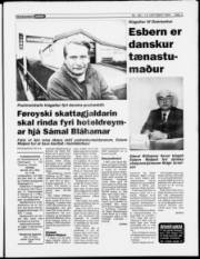 Síða 3