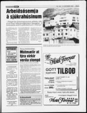 Síða 5