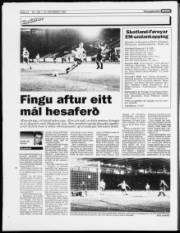 Síða 14